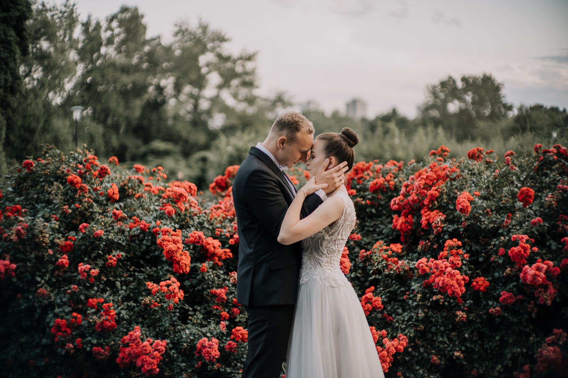 Para młoda w objęciach na tle kwitnących krzewów róż, panna młoda w białej sukni z koronkową górą, pan młody w czarnym garniturze, romantyczny moment.