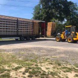 Żółta ładowarka JCB przewozi palety w kierunku otwartej naczepy ciężarówki, zaparkowanej na poboczu drogi, pod drzewami.