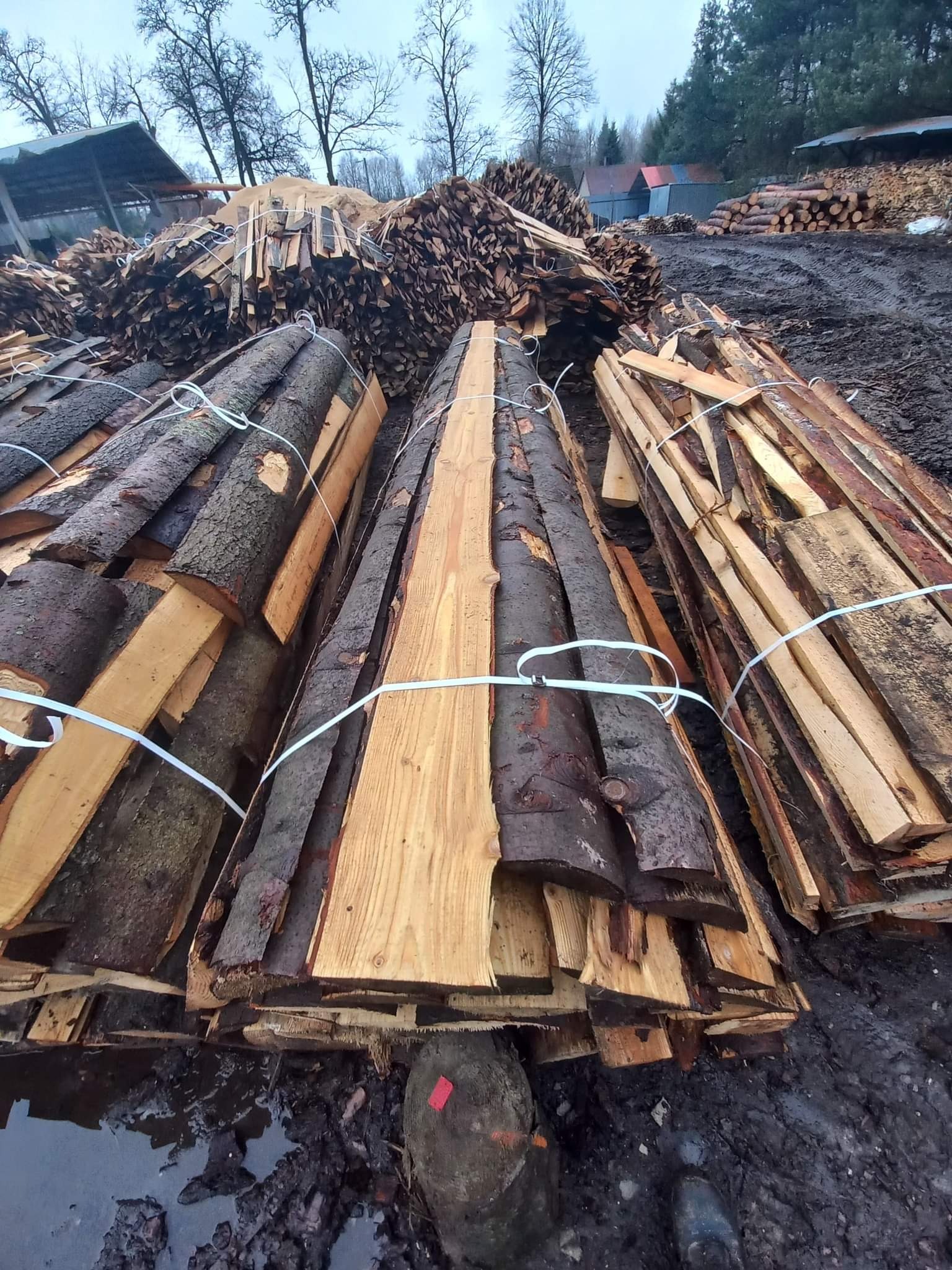 Stosy świeżo przetartego drewna, częściowo z korą, zabezpieczone białym sznurkiem, ułożone na błotnistym terenie w otoczeniu składowanego drewna i zalesionego terenu.