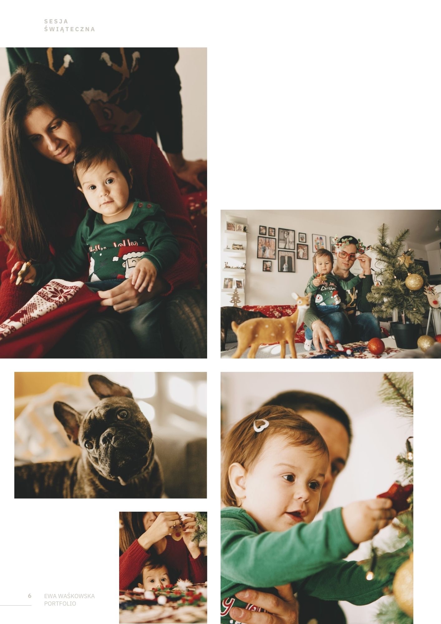 Świąteczna sesja rodzinna: mama trzyma córeczkę w swetrze z motywem świątecznym, tata z dzieckiem dekoruje choinkę, portret buldoga francuskiego