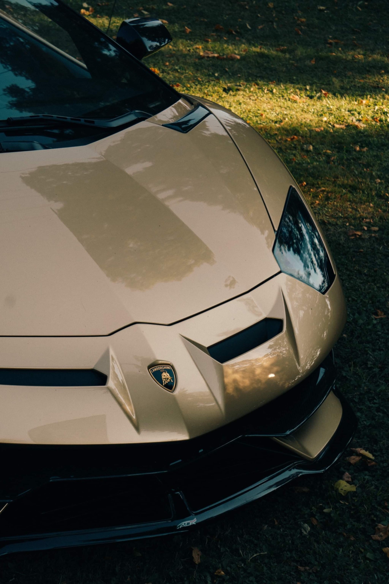 Złoty Lamborghini Aventador sfotografowany z góry na trawie, skupiając się na przednim reflektorze i logo.