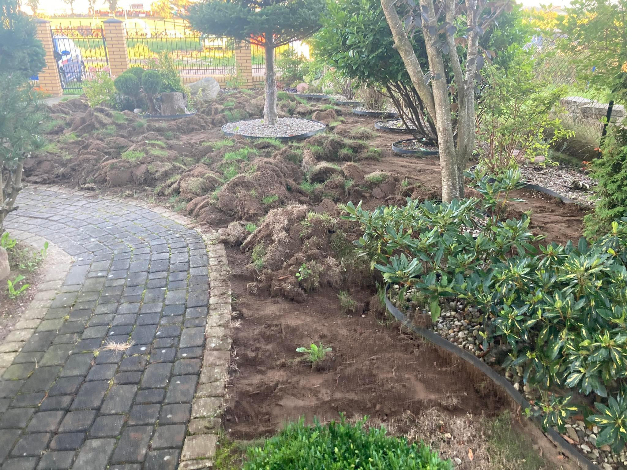 Przygotowany teren pod trawnik z widocznymi kępami darni i obrzeżami rabat, ścieżka z kostki brukowej z lewej strony.