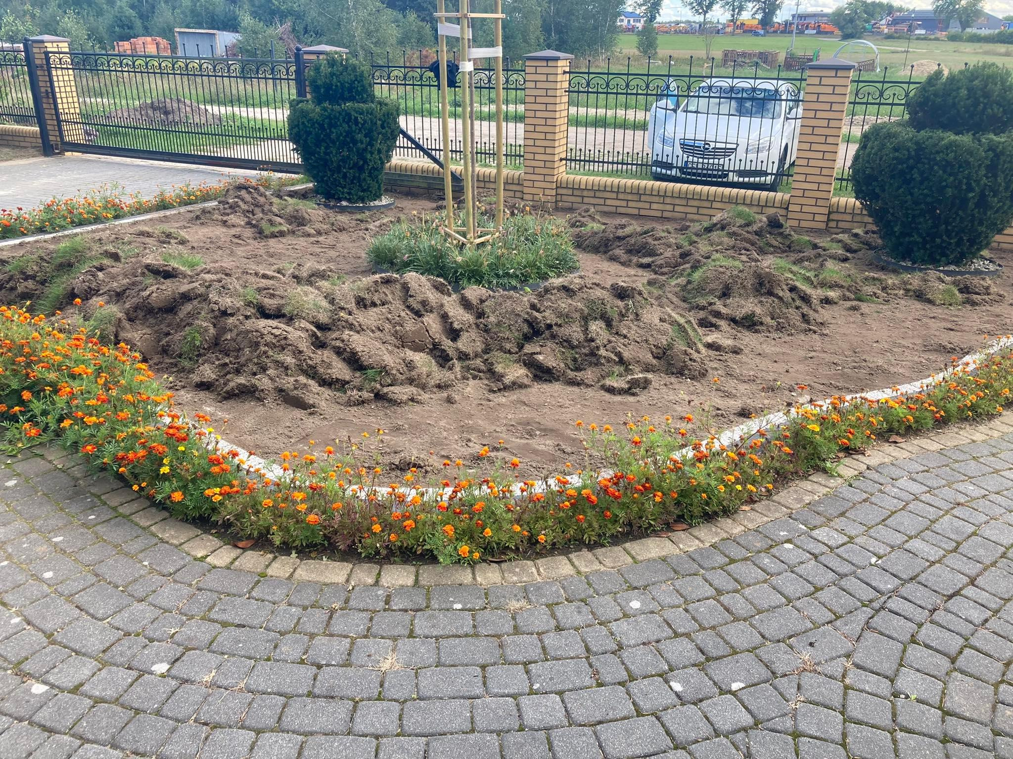 Przygotowany teren pod nasadzenia w ogrodzie, obrzeża wyłożone kostką brukową, rabata obramowana pomarańczowymi aksamitkami, w tle widoczna brama i zaparkowany samochód.