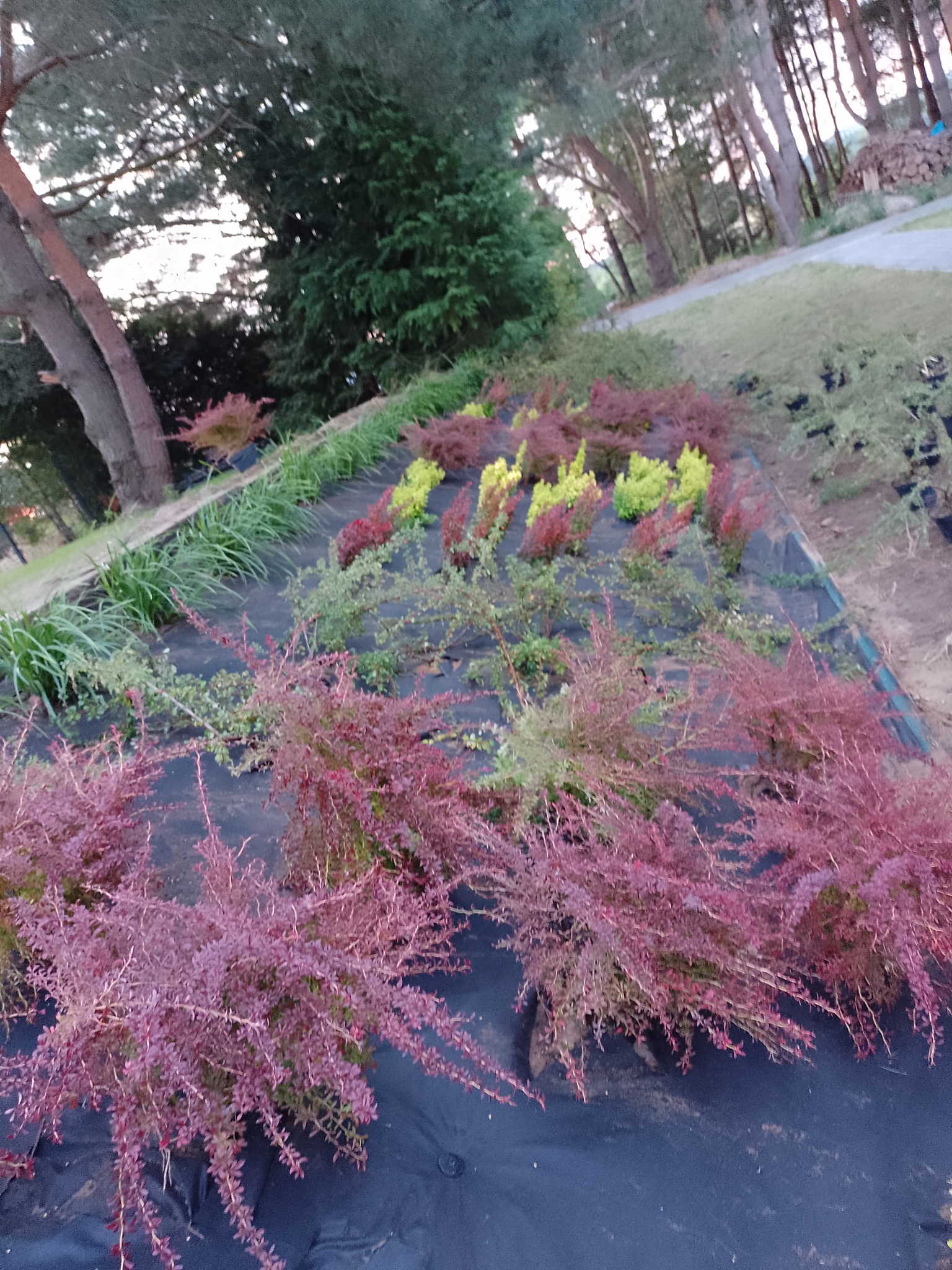 Właśnie powoli kończę skarpę u klienta.