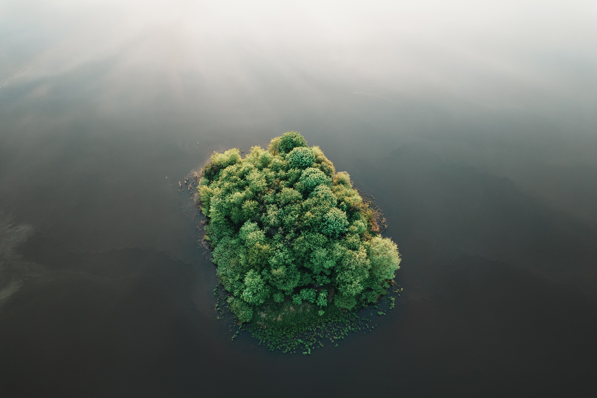 Widok z lotu ptaka na zalesioną wyspę na jeziorze, z delikatną mgłą w tle i ciemną wodą.