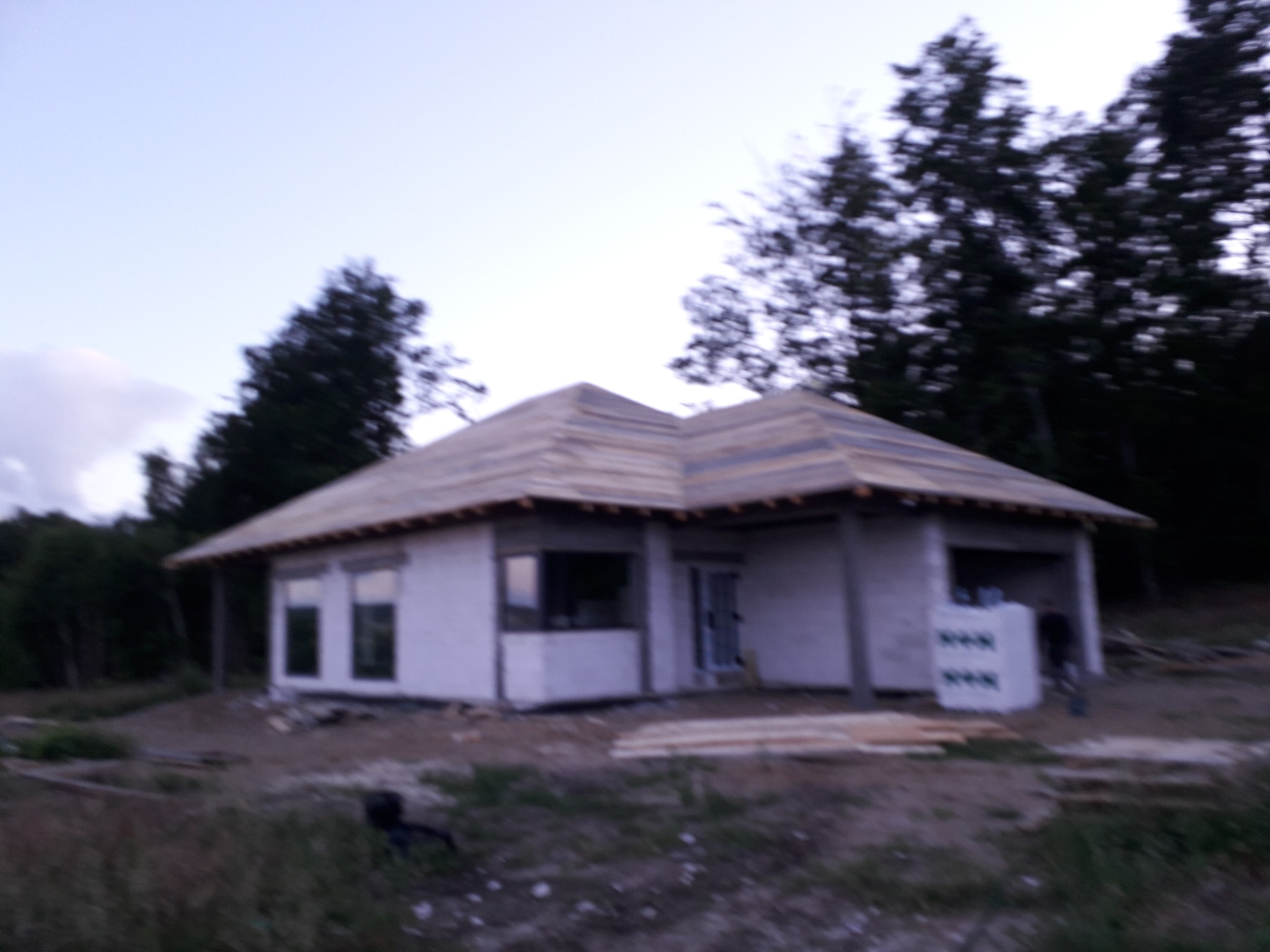 Niedokończony dom jednorodzinny z drewnianą konstrukcją dachu w trakcie budowy, widoczne elementy więźby dachowej, ściany w stanie surowym, otoczenie zarośnięte trawą i drzewami, rozproszone...