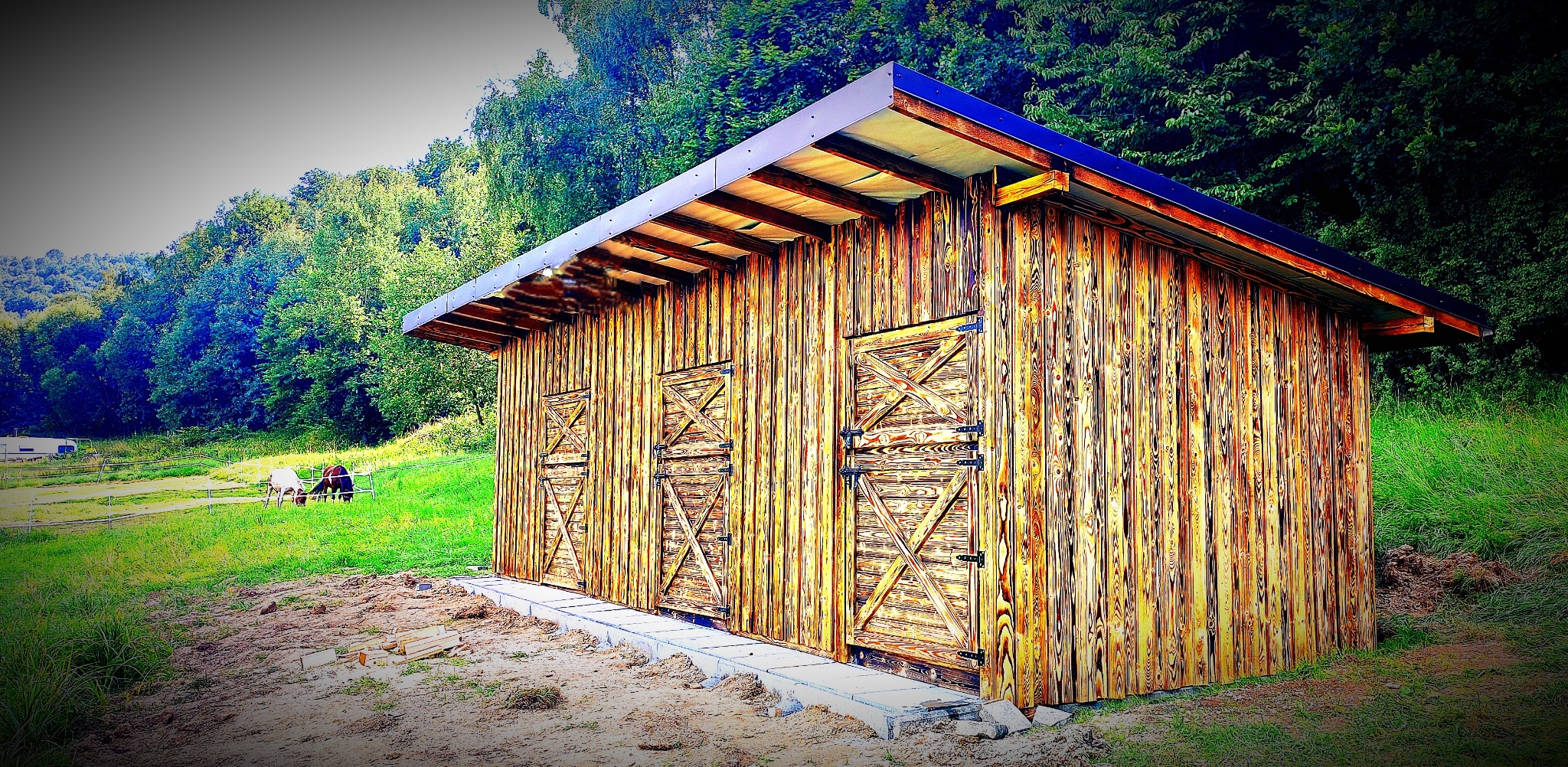 Drewniany budynek gospodarczy z trzema parami drzwi, wykończony w rustykalnym stylu, na tle zielonej łąki i lasu.