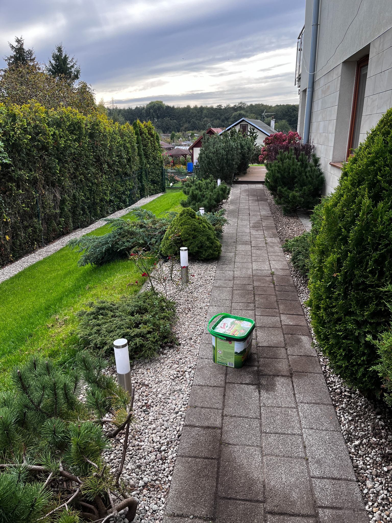 Uporządkowany ogród z ścieżką z kostki prowadzącą do domu, obok ścieżki stoi wiadro z nawozem, widoczne tuje, trawnik i ozdobne krzewy.