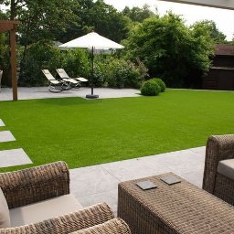 Trawa z rolki Warszawa 1