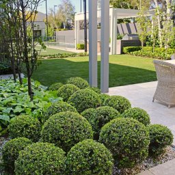 Trawa z rolki Warszawa 2