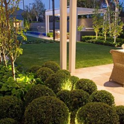 Trawa z rolki Warszawa 4