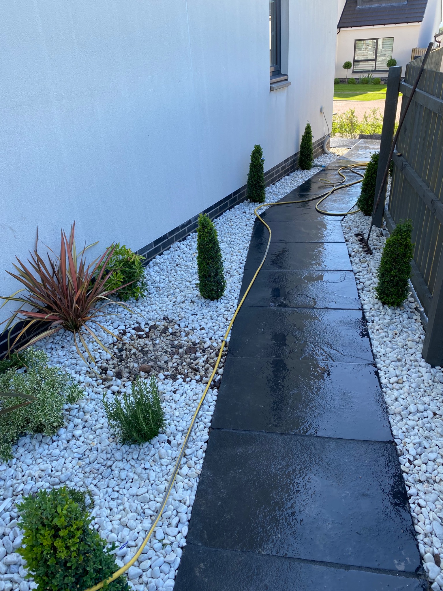 Czarny kamienny chodnik ogrodowy po deszczu, otoczony białymi otoczakami i niskimi krzewami ozdobnymi, z widocznym wężem ogrodowym i grabiami opartymi o drewniany płot.