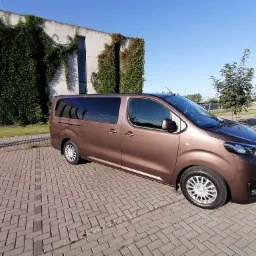 Brązowy van z przyciemnianymi szybami, zaparkowany na brukowanym placu przed budynkiem porośniętym bluszczem w słoneczny dzień.