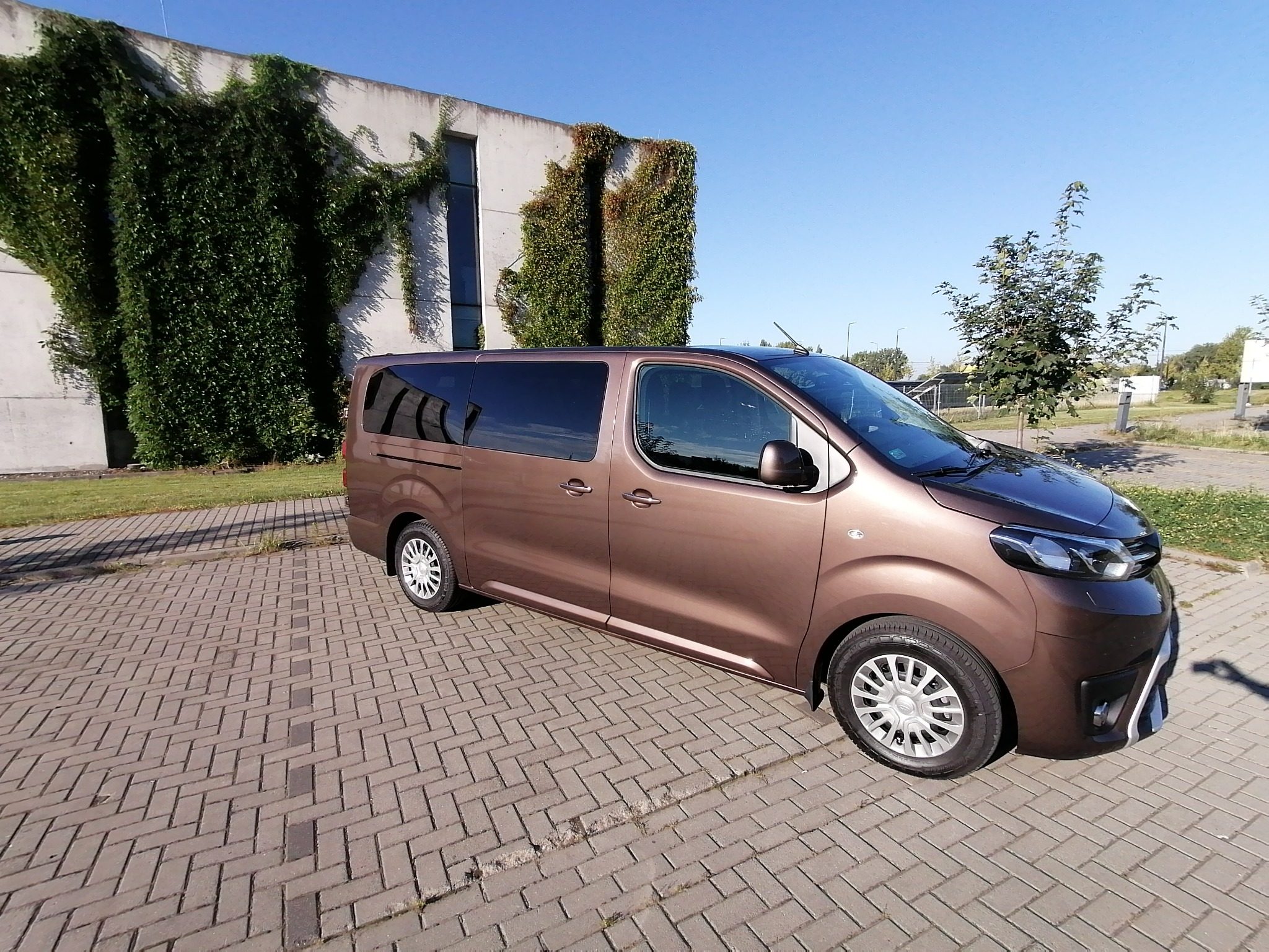 Brązowy van z przyciemnianymi szybami, zaparkowany na brukowanym placu przed budynkiem porośniętym bluszczem w słoneczny dzień.