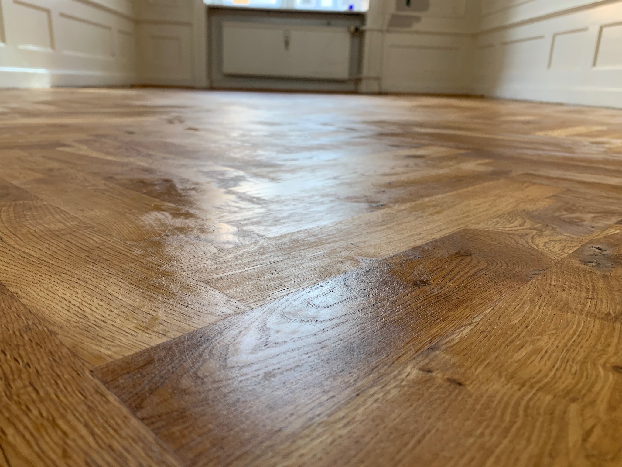 Ułożona parkietowa podłoga w jodełkę, świeżo po lakierowaniu, z widocznym połyskiem, w tle białe listwy przypodłogowe i fragment ściany z boazerią.