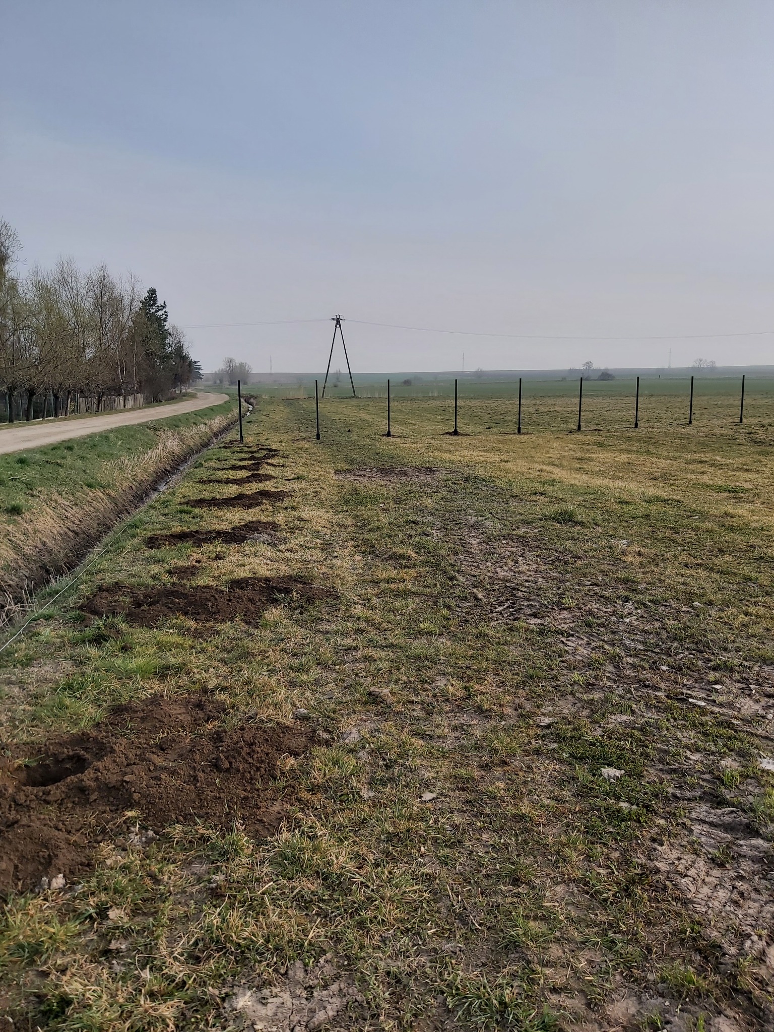 Przygotowanie terenu pod instalację ogrodzenia: wykopane dołki wzdłuż rowu melioracyjnego, widoczne słupki ogrodzeniowe w oddali, pole z trawą i śladami opon.