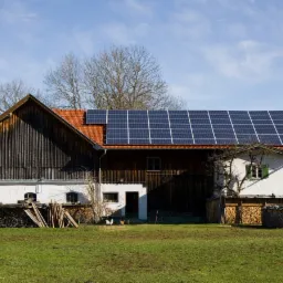 Rustykalny dom z panelami słonecznymi na dachu. Widoczne sterty drewna i kury na trawniku. Jasne niebo, słoneczny dzień.
