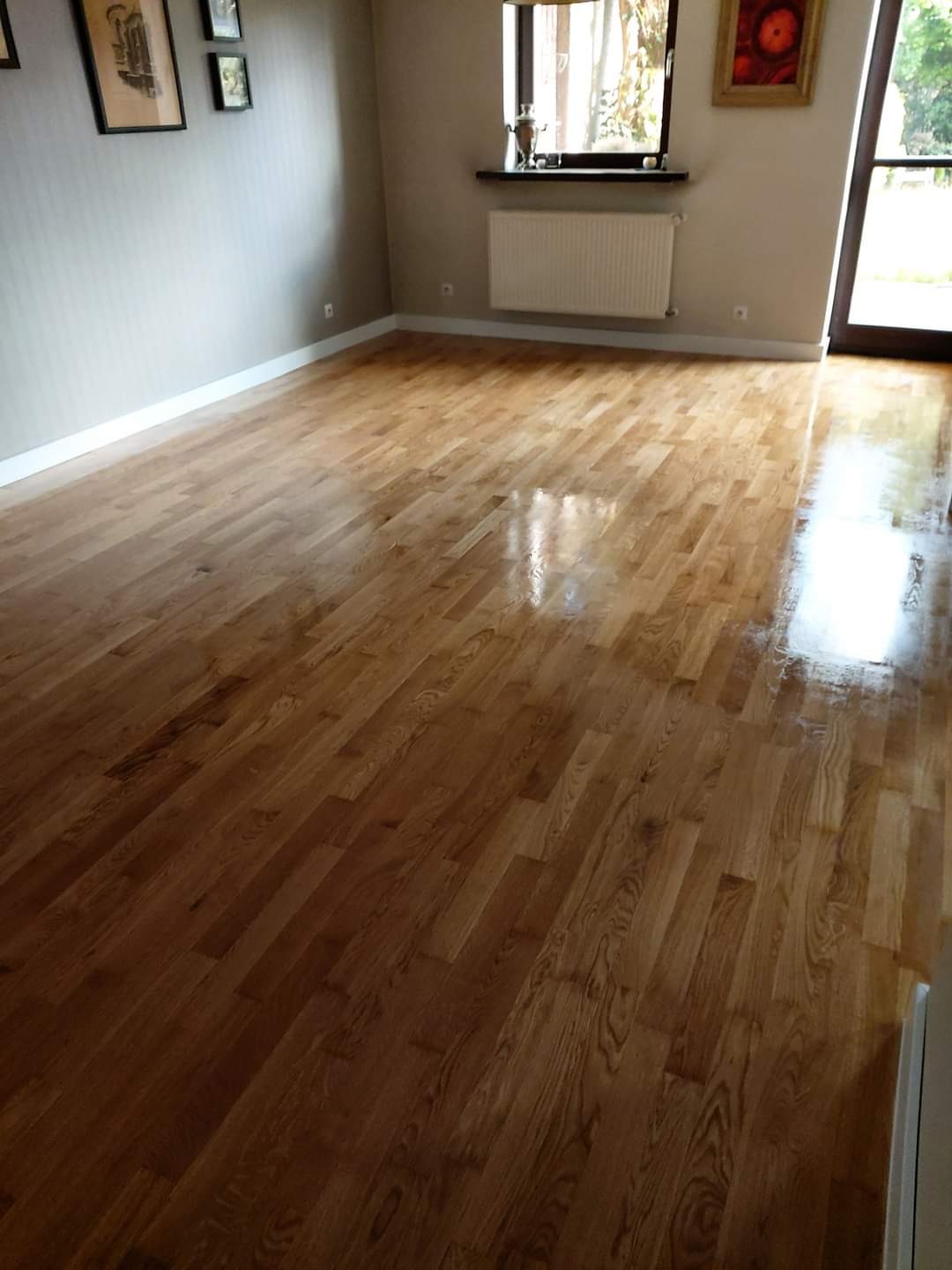 Świeżo polakierowany parkiet w salonie z jasnymi ścianami, widoczne refleksy światła na powierzchni podłogi, grzejnik pod oknem.