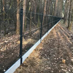 Długi, ciemny metalowy płot z siatki panelowej na betonowej podmurówce, biegnący wzdłuż ścieżki w lesie sosnowym w słoneczny dzień.