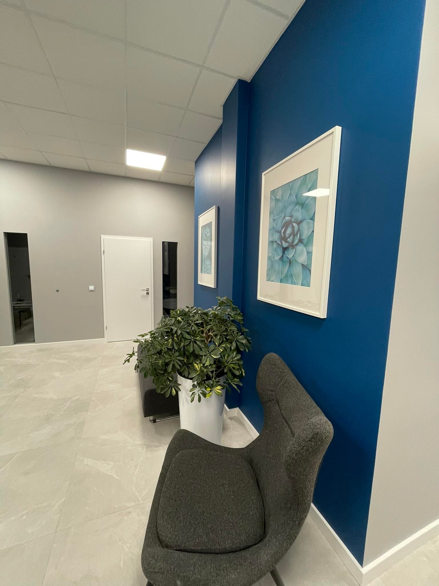 Nowoczesne wnętrze biurowe z niebieską ścianą, szarym fotelem i rośliną doniczkową w białej osłonce, obrazek w białej ramie na ścianie, widok na korytarz z białymi drzwiami i szarymi ścianami