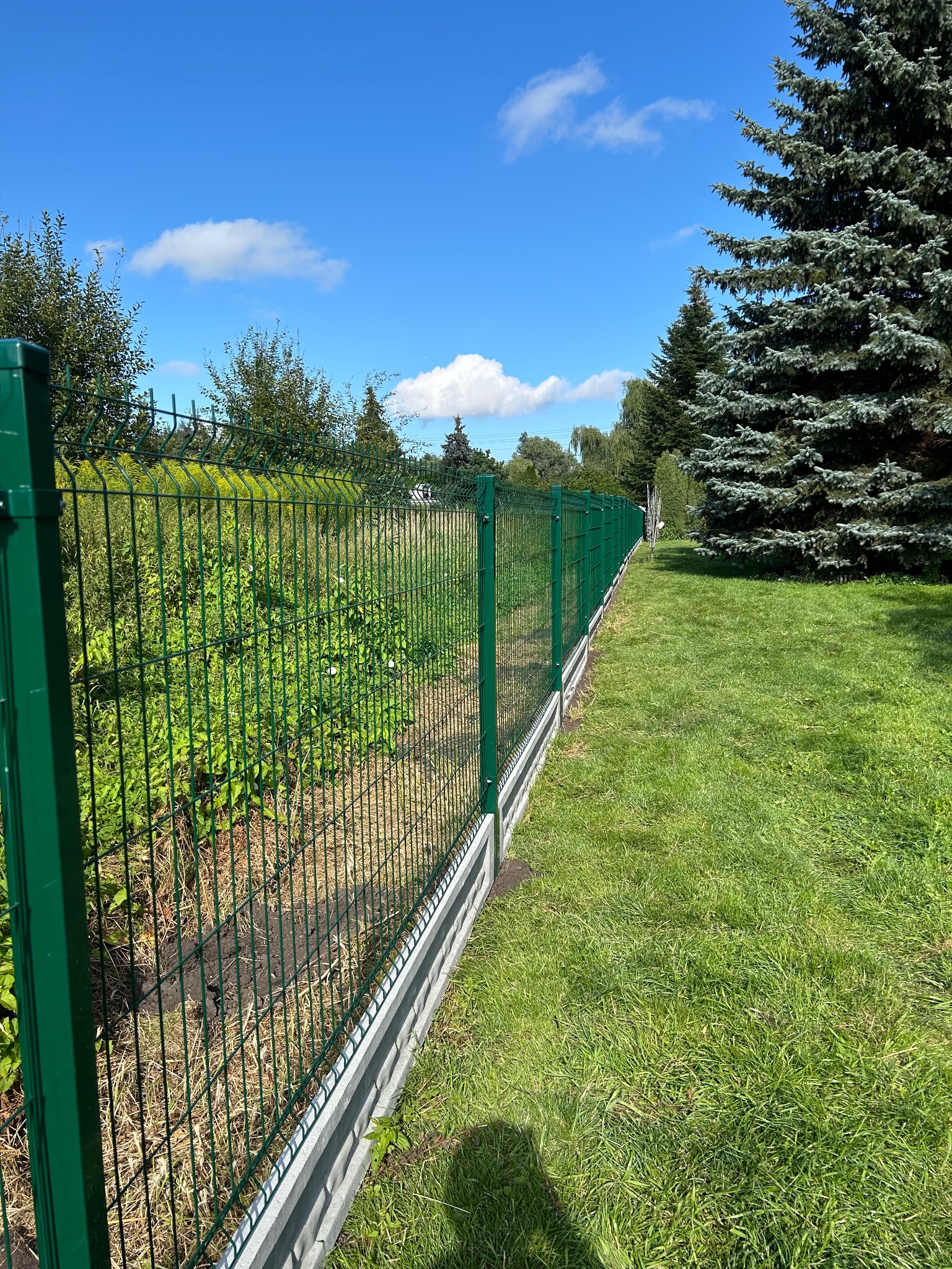 Długi, zielony system ogrodzeniowy z paneli na betonowej podmurówce, oddzielający trawnik od zarośli, z widocznym niebieskim niebem i drzewami w tle.