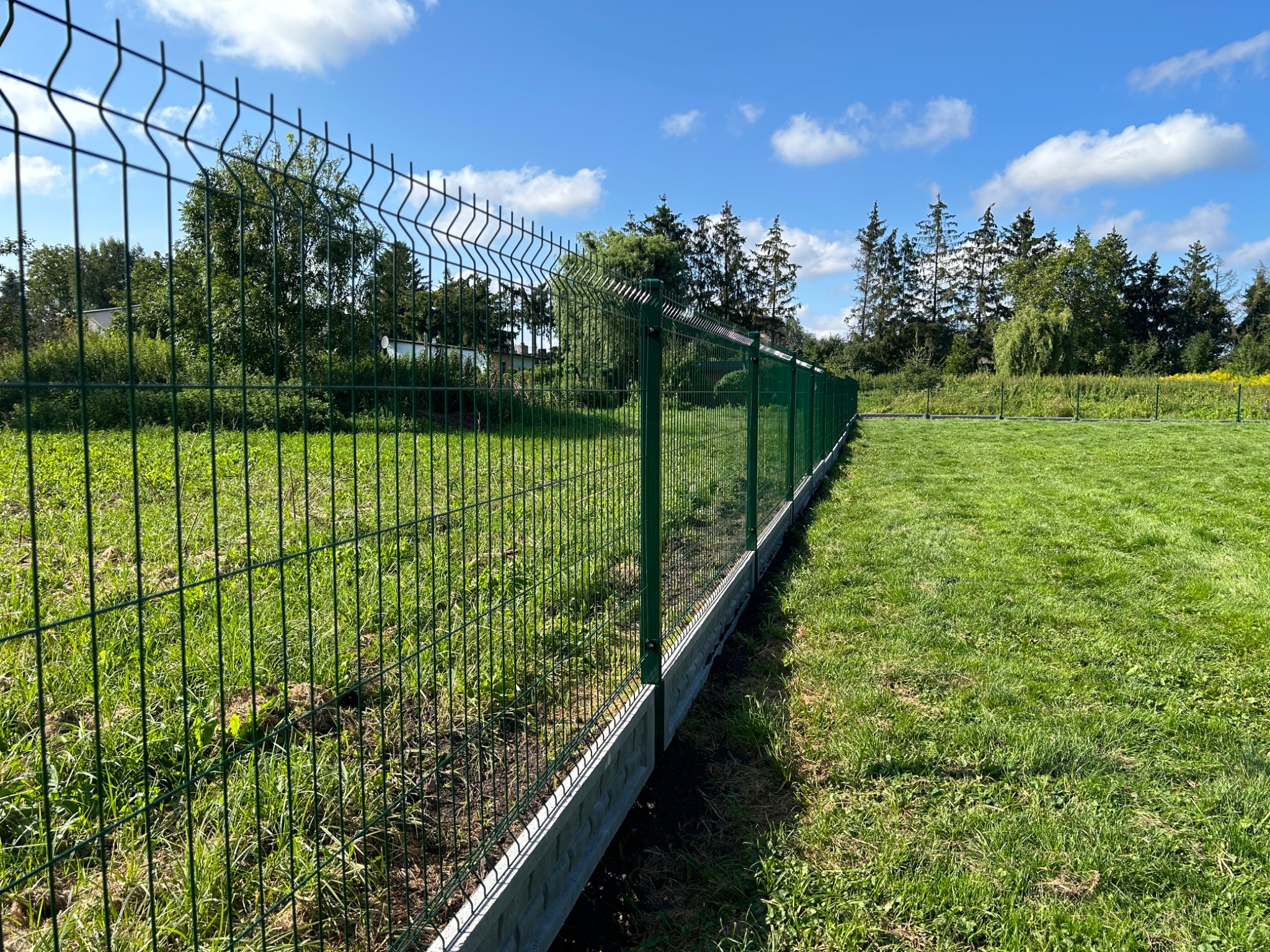 Długi, zielony panel ogrodzeniowy z podmurówką betonową, oddzielający trawnik od zarośli i drzew w słoneczny dzień.