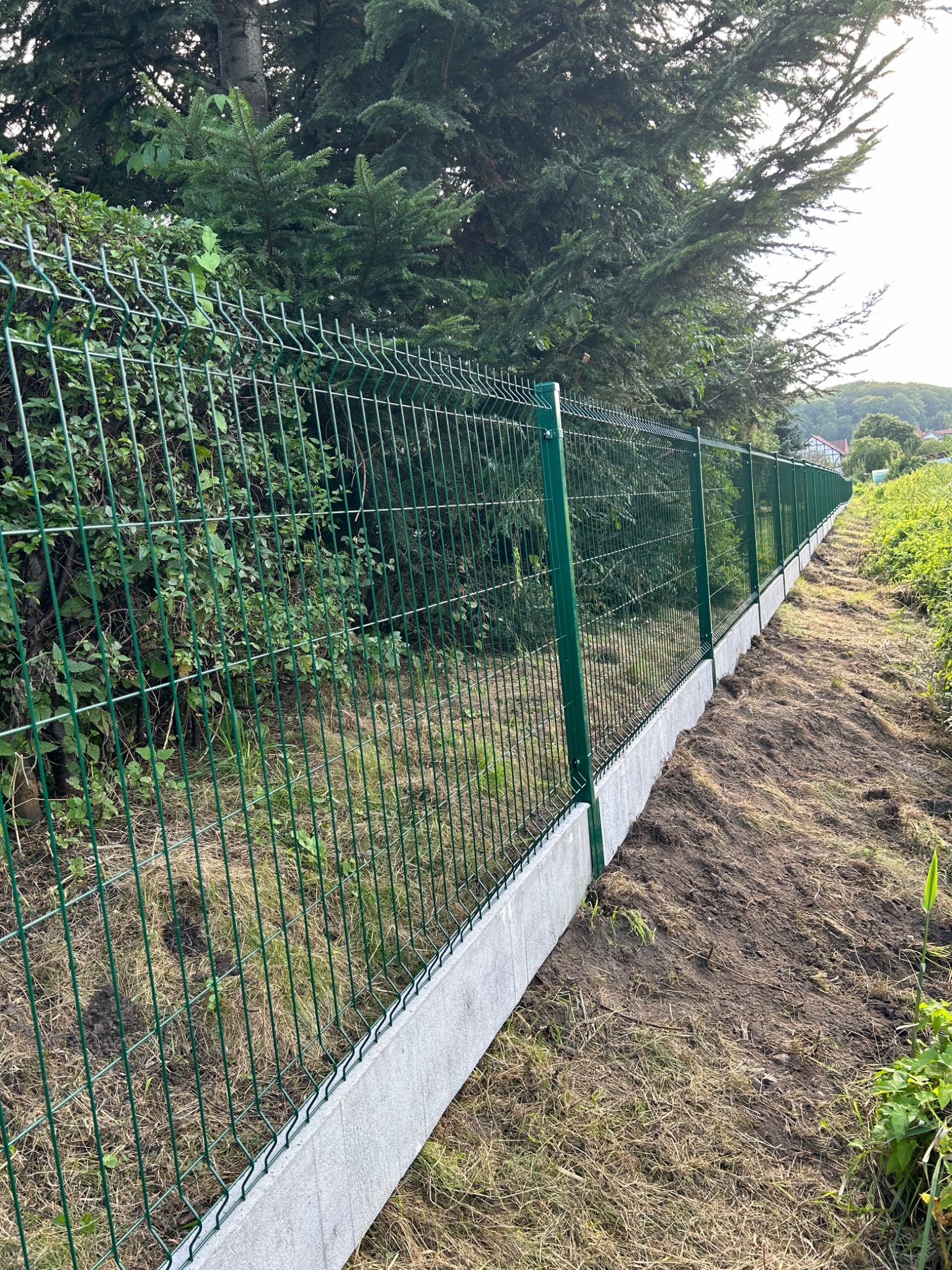 Długi, zielony płot panelowy z podmurówką betonową, oddzielający posesję od zarośli i drzew, widziany z perspektywy ziemi.