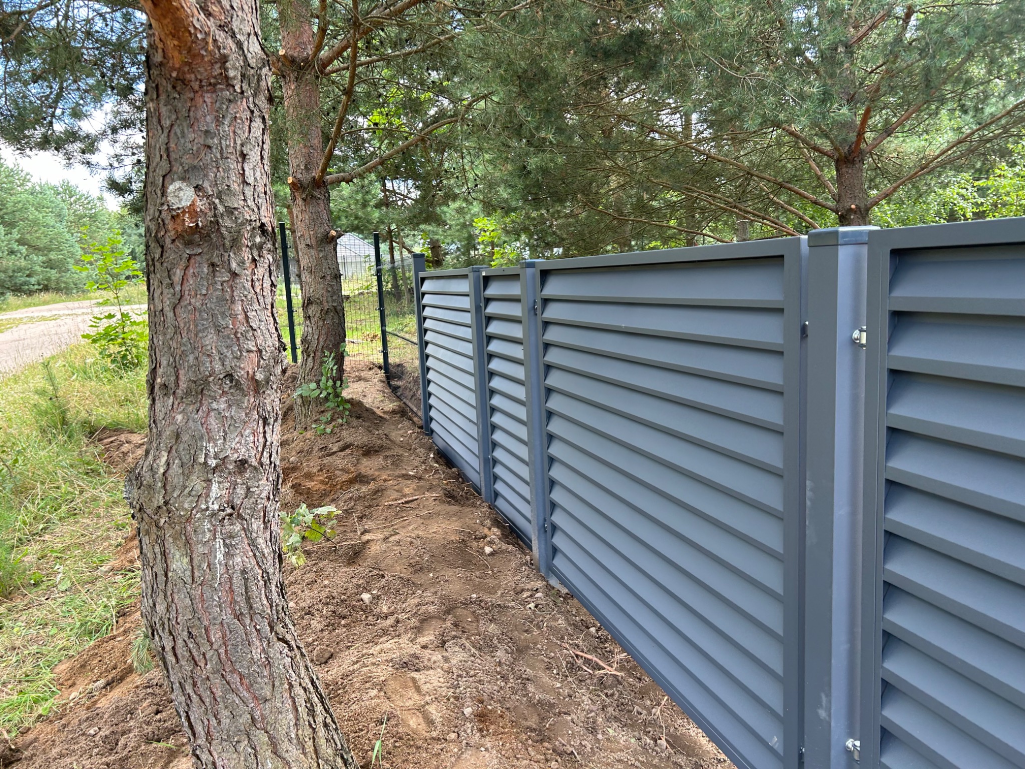 Nowoczesne ogrodzenie panelowe w kolorze szarym, z poziomymi lamelami, zamontowane wzdłuż piaszczystej ścieżki, widoczne pnie drzew sosnowych.