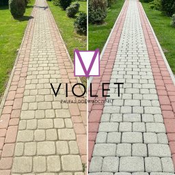 Sprzątanie mieszkań Biczyce Dolne 1