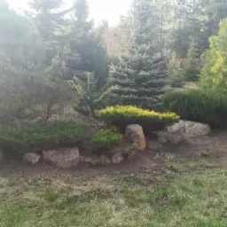 Aranżacja ogrodu z różnorodnymi iglakami, krzewami i kamieniami, widoczne nasadzenia wzdłuż rabaty, trawnik z przodu, tło stanowią wysokie drzewa.