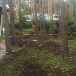 Teren po niwelacji pod trawnik, widoczne liczne drzewa iglaste, biały wąż ogrodowy na ziemi, w tle budynek z zielonym dachem i ceglany murek.