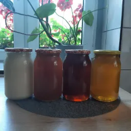 Cztery słoiki z miodem o różnej barwie, od białego po ciemnobursztynowy, ustawione na szarej podkładce na blacie kuchennym, z roślinami w doniczkach i oknem w tle.