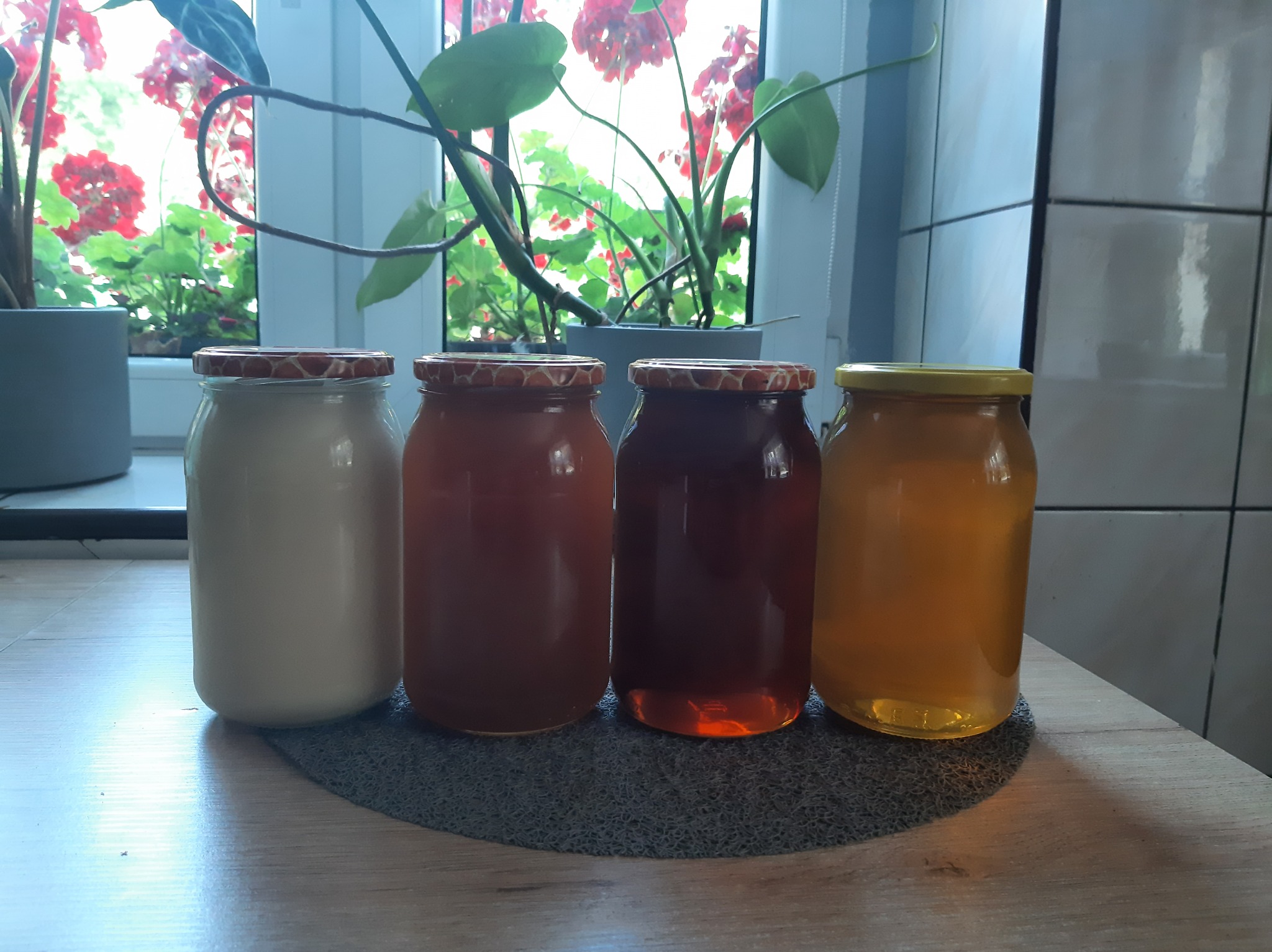 Cztery słoiki z miodem o różnej barwie, od białego po ciemnobursztynowy, ustawione na szarej podkładce na blacie kuchennym, z roślinami w doniczkach i oknem w tle.