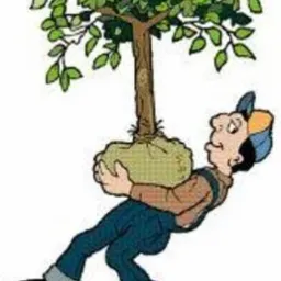 Pielęgnacja i zakładanie ogrodów