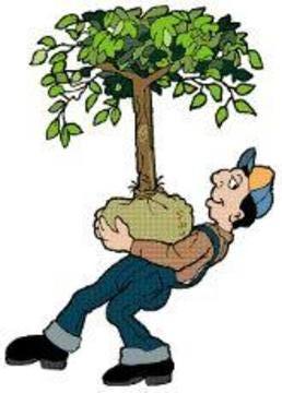 Pielęgnacja i zakładanie ogrodów