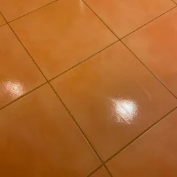 Błyszczące, terakotowe płytki podłogowe ułożone w kwadraty, widoczne fugi i odbicie światła.