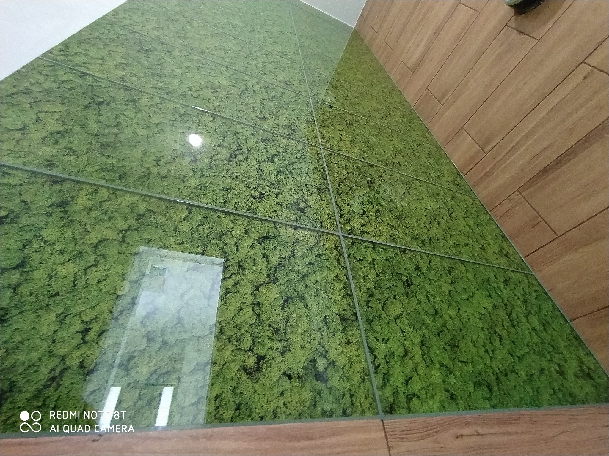 Ściana wyłożona błyszczącymi płytkami z motywem zielonego mchu, obok fragment ściany z drewnopodobnych paneli.