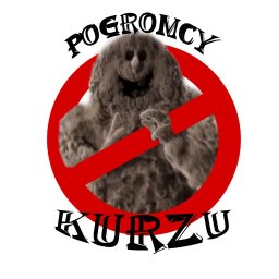 Vladyslav Kolomiiets Pogromcy Kurzu - Sprzątanie Biur Toruń