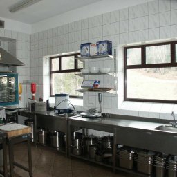 MEGAR Sp. z o.o. - Profesjonalna kuchnia ze stali nierdzewnej z piecem konwekcyjnym, licznymi garnkami i sprzętem AGD, widok z okna na las.