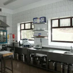 Profesjonalna kuchnia ze stali nierdzewnej z piecem konwekcyjnym, licznymi garnkami i sprzętem AGD, widok z okna na las.