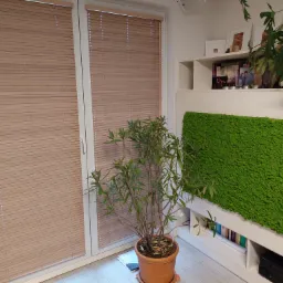 Żaluzje bambusowe 25mm