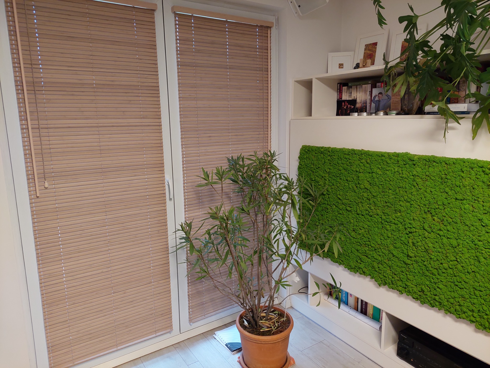 Żaluzje bambusowe 25mm