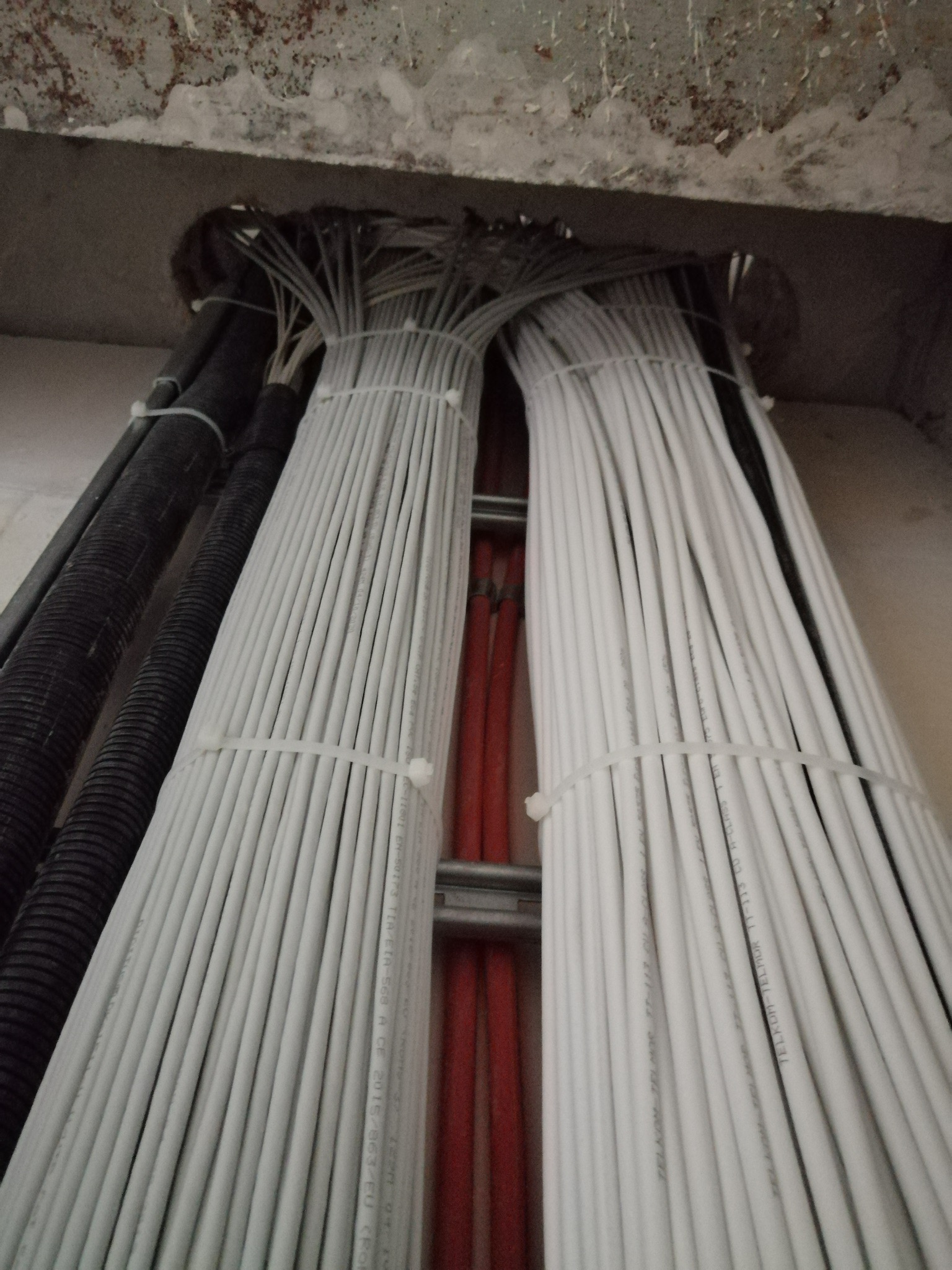 Pęczki białych kabli elektrycznych spięte opaskami zaciskowymi, prowadzone w otworze w surowym betonowym stropie, widoczne również czarne karbowane rury instalacyjne.