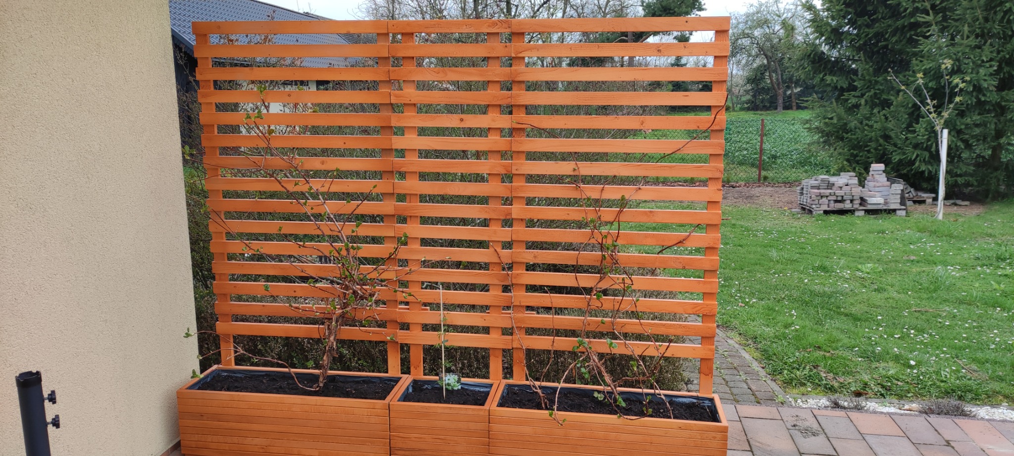 Drewniana pergola z trzema donicami, w których posadzone są młode rośliny, ustawiona przy ścianie budynku na tle trawnika.