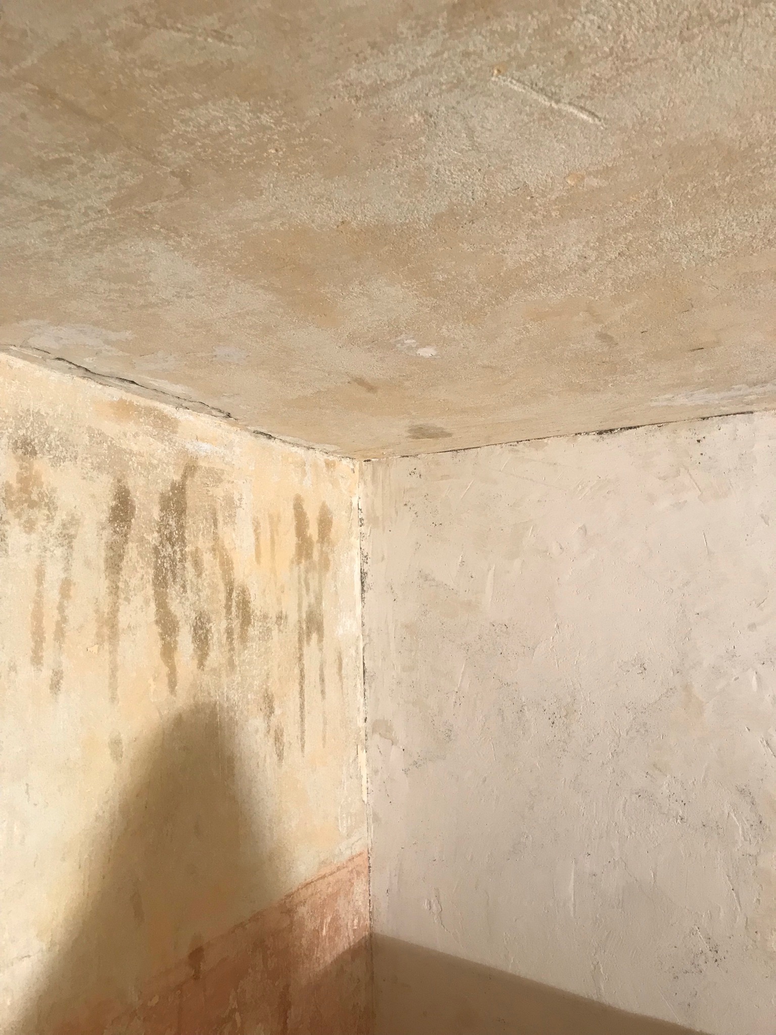 Narożnik pokoju z widocznymi zaciekami i pleśnią na ścianach oraz suficie, ukazujący zły stan pomieszczenia.