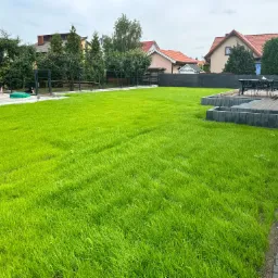 Soczysty, zielony trawnik z widocznymi śladami koszenia, otoczony nowoczesną architekturą ogrodową i zabudową jednorodzinną w tle.