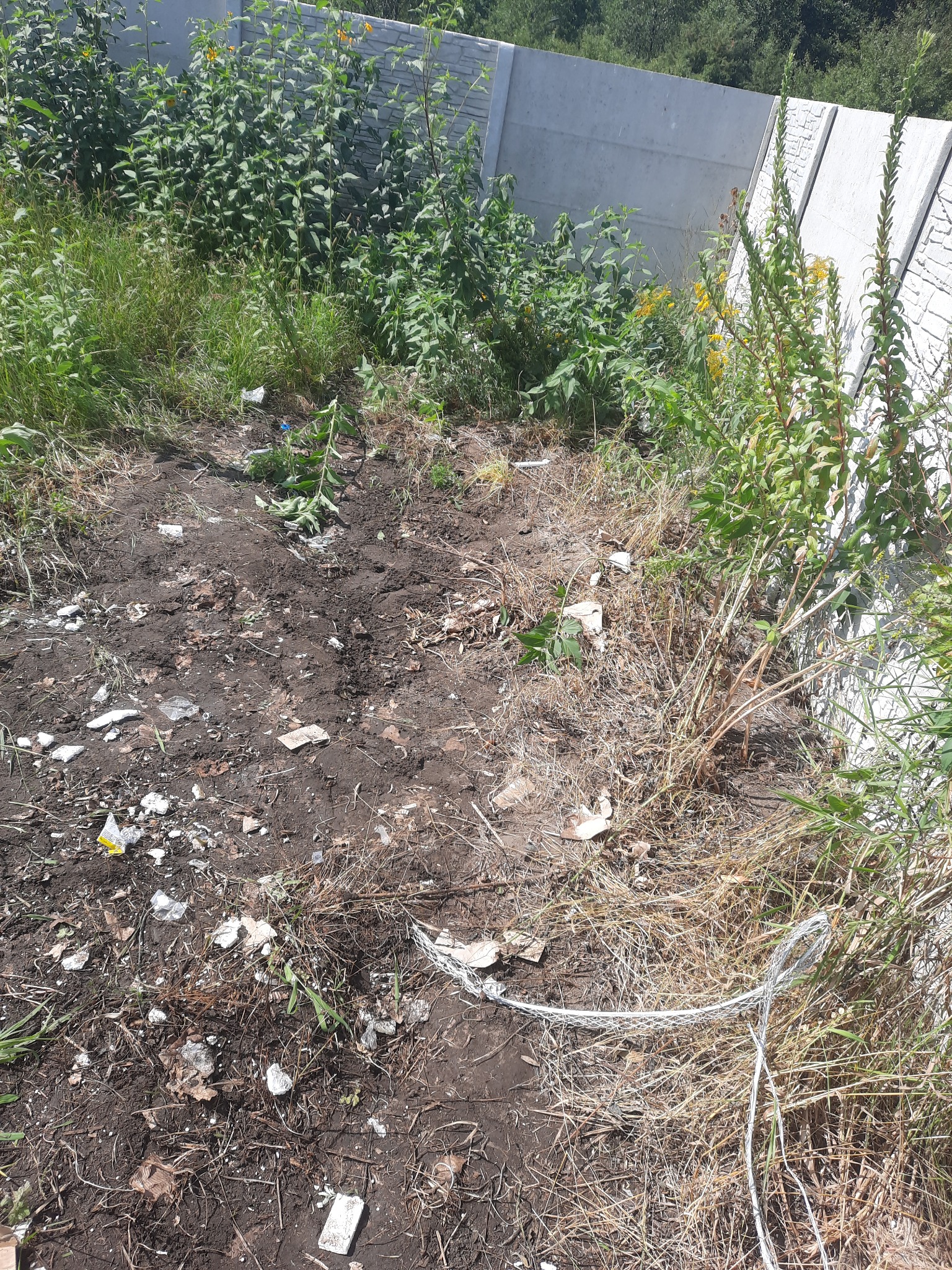 Teren po usunięciu gruzu, z widoczną ziemią, resztkami materiałów budowlanych, wysoką trawą i roślinnością przy betonowym ogrodzeniu.