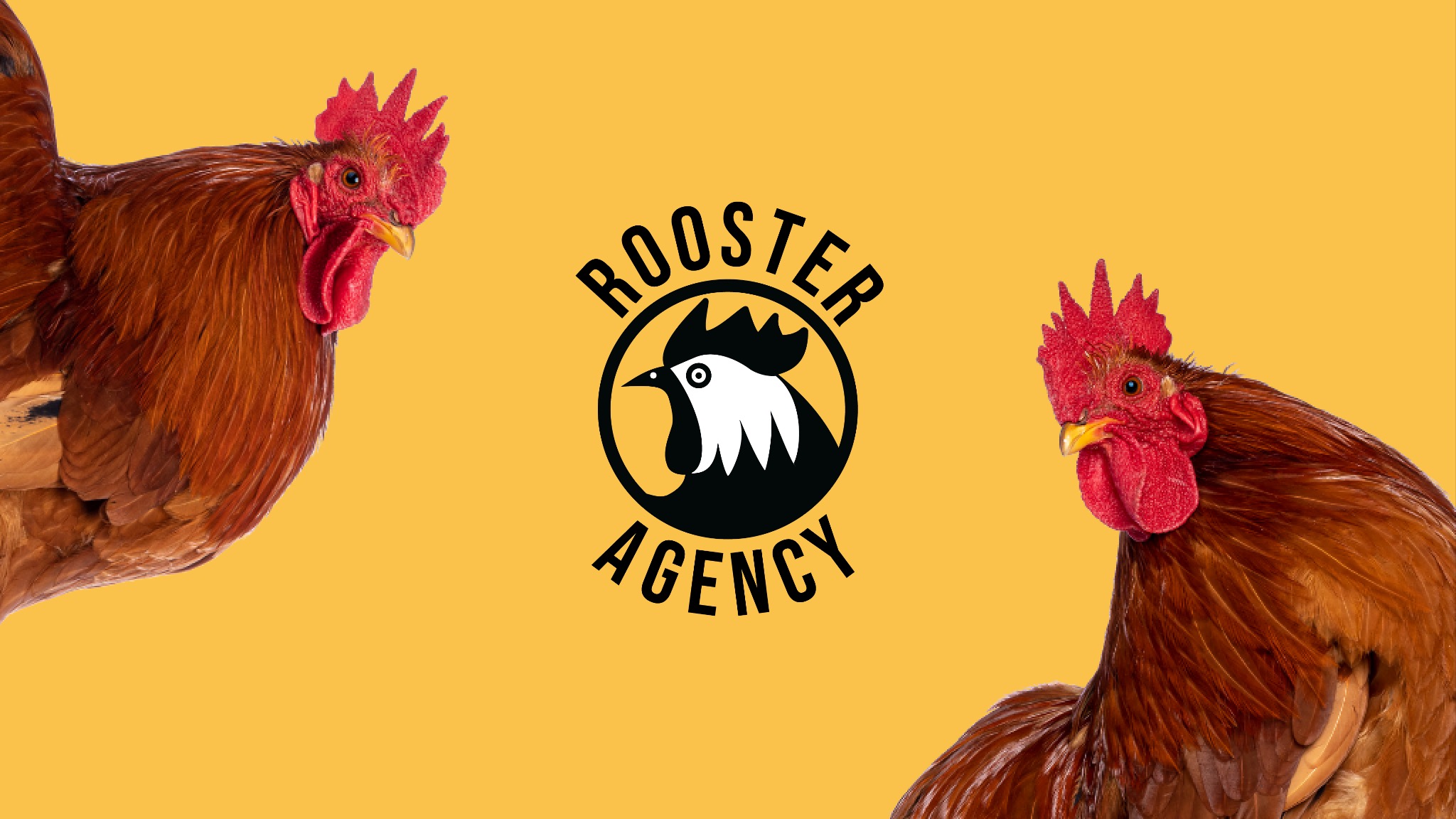 Logo Rooster Agency z dwoma kogutami po bokach na żółtym tle.
