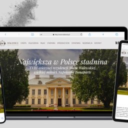 Strona internetowa wykonana dla Pałacu i Stadniny Koni Walewice.