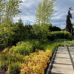 Ogród naszych klientów w Rewie, opiekujemy się nim